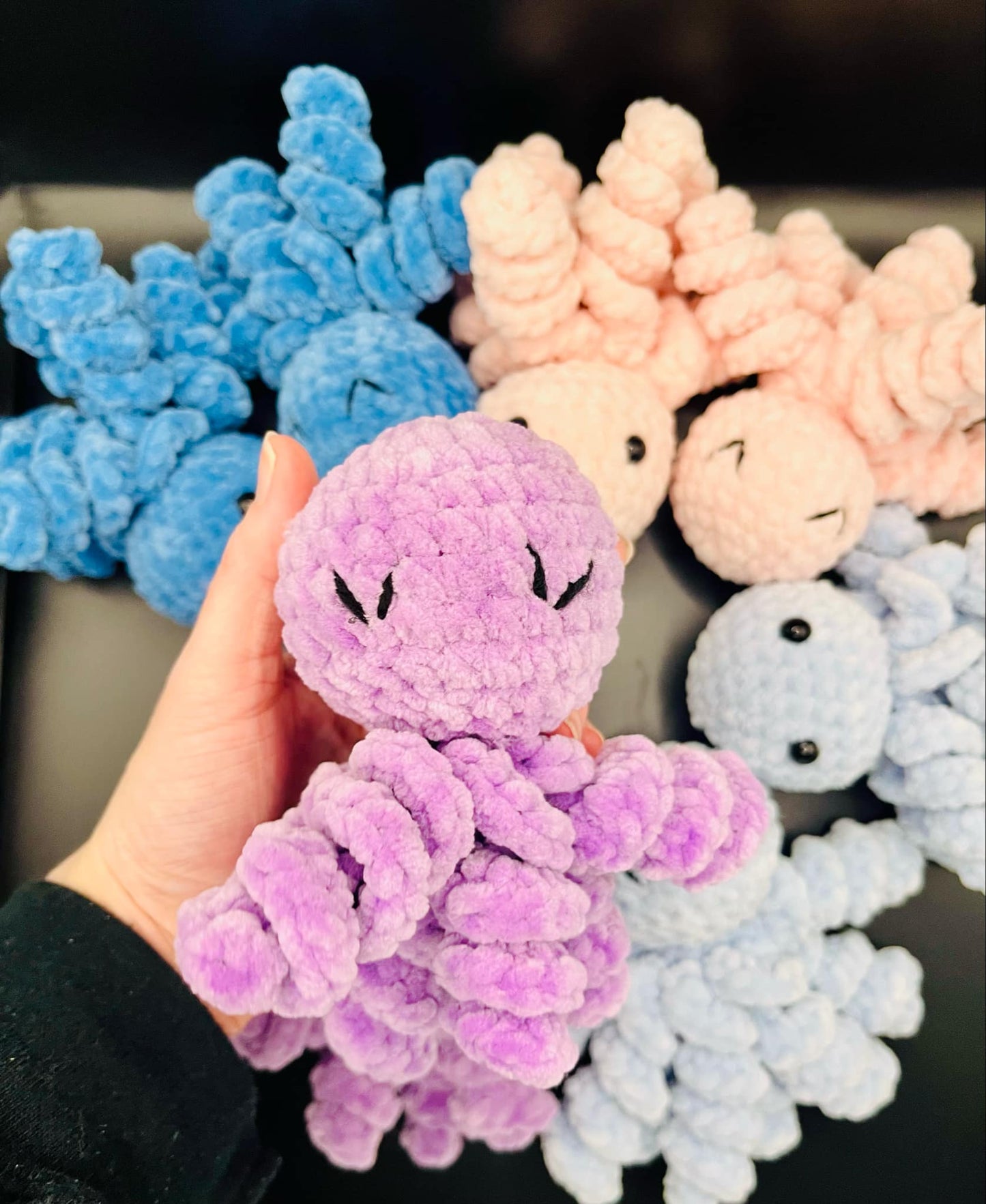 Octopus