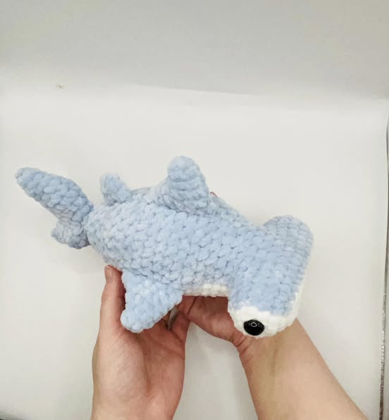Hammerhead Shark