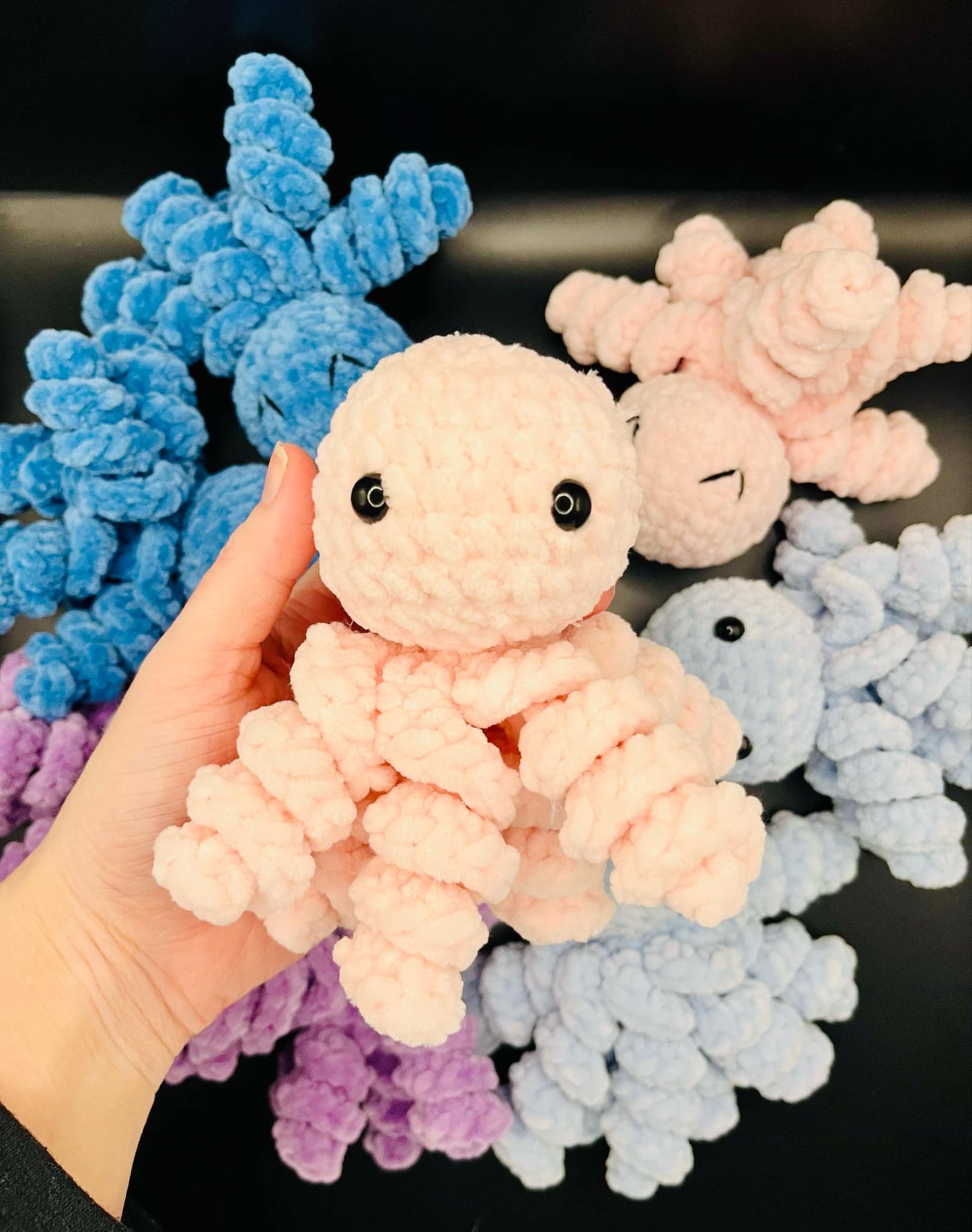 Octopus