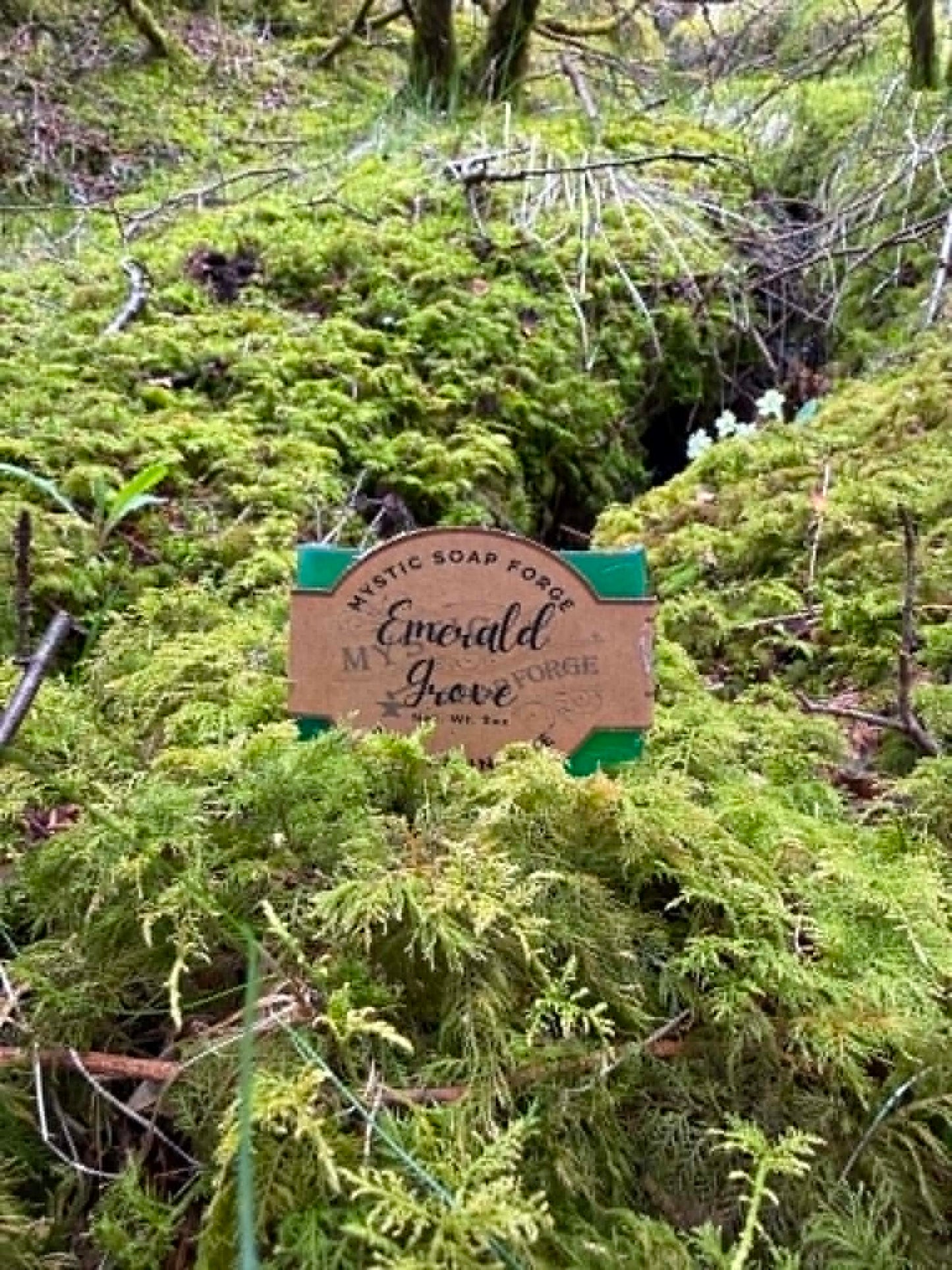 Emerald Grove