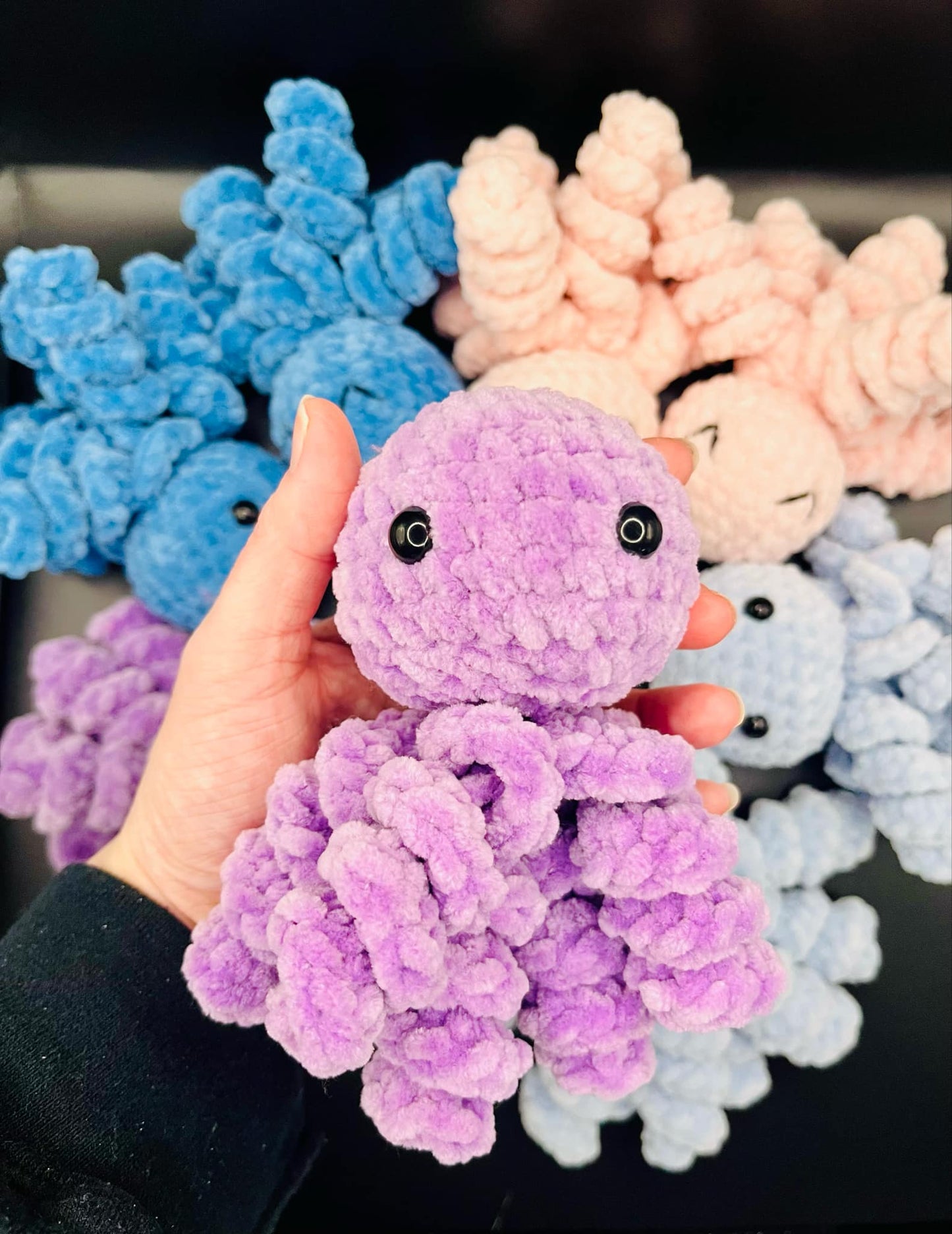 Octopus