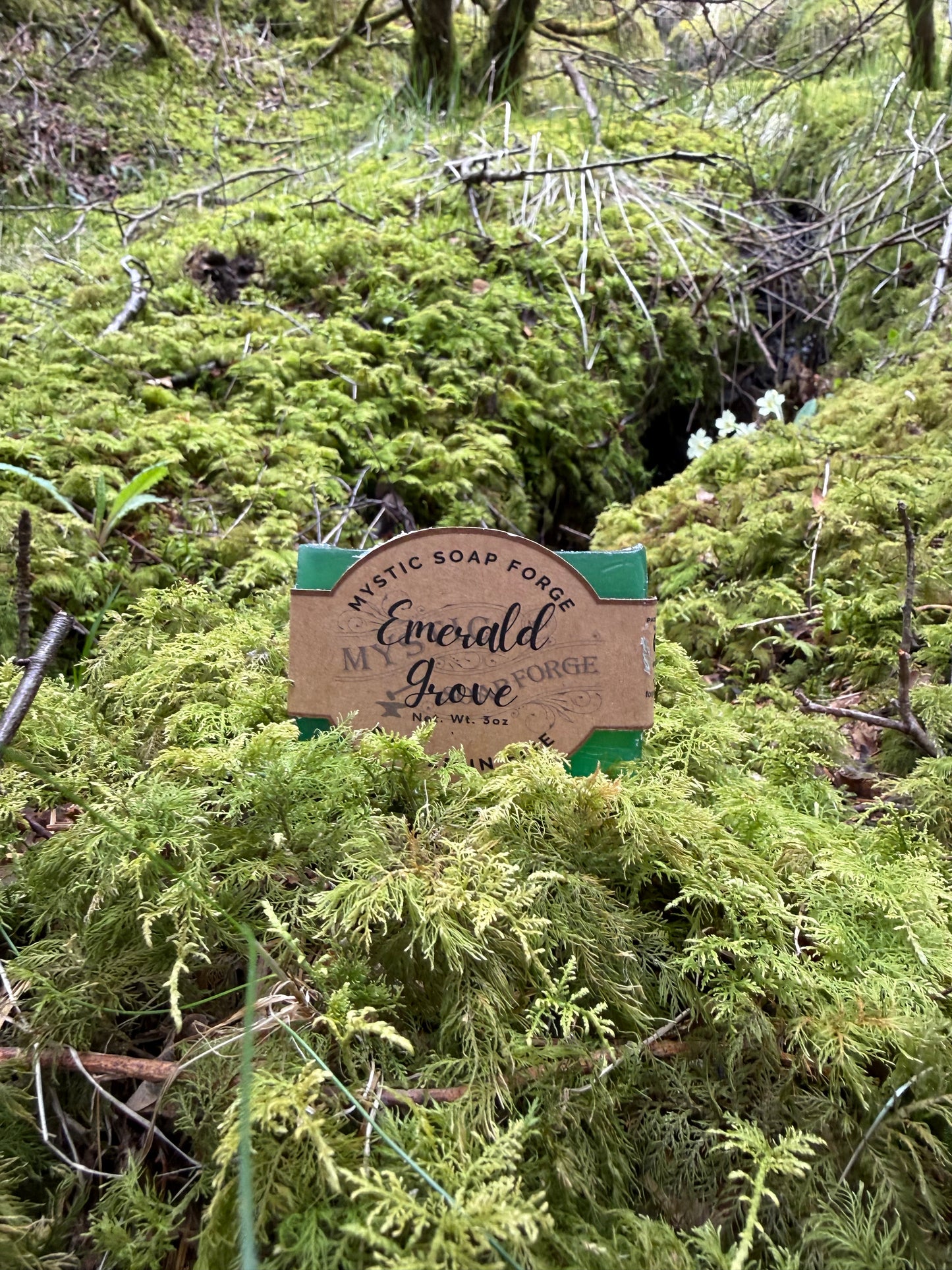 Emerald Grove